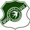 SV索尼克斯队标,SV索尼克斯图片